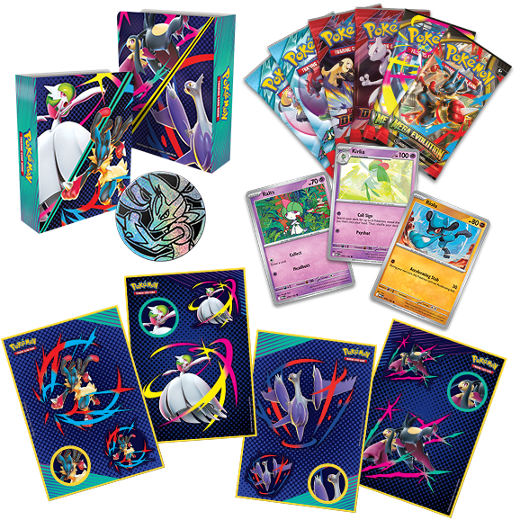 Pokemon TCG | 2025 Fall Collector Chest